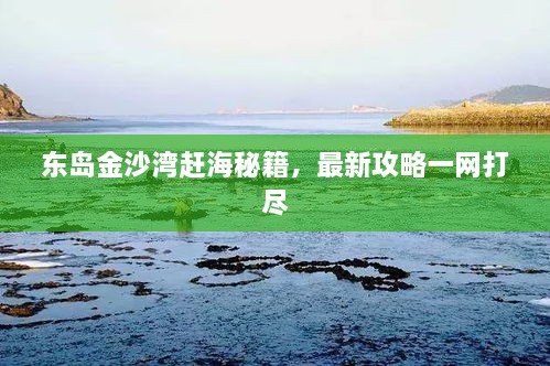 东岛金沙湾赶海秘籍，最新攻略一网打尽