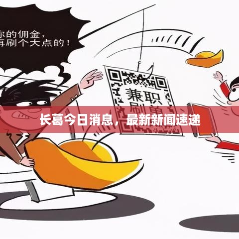 长葛今日消息，最新新闻速递