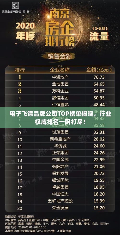 电子飞镖品牌公司TOP榜单揭晓，行业权威排名一网打尽！