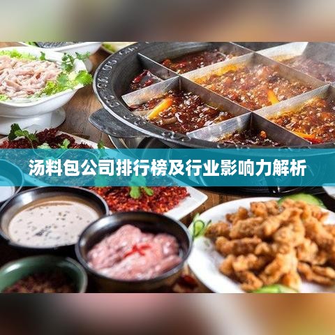 汤料包公司排行榜及行业影响力解析