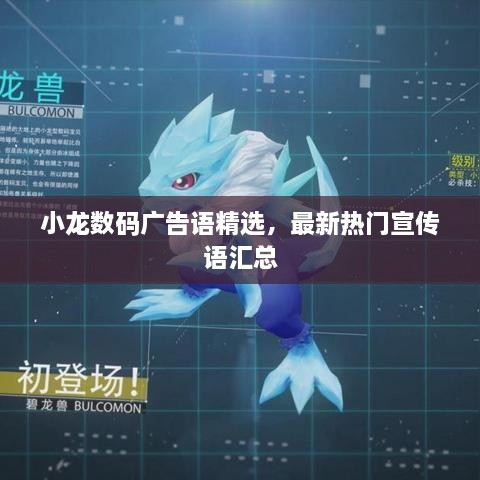 小龙数码广告语精选，最新热门宣传语汇总