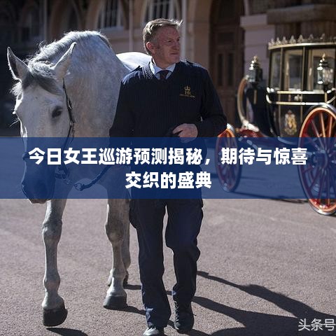 今日女王巡游预测揭秘，期待与惊喜交织的盛典