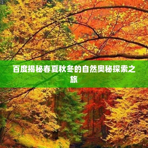 百度揭秘春夏秋冬的自然奥秘探索之旅