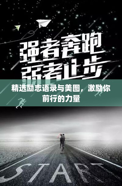 精选励志语录与美图，激励你前行的力量