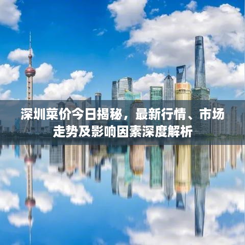 深圳菜价今日揭秘，最新行情、市场走势及影响因素深度解析