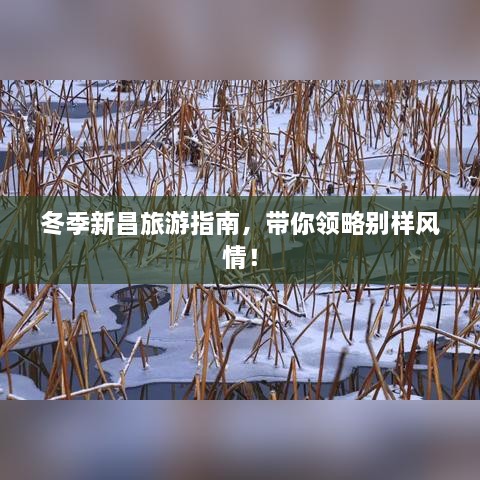 冬季新昌旅游指南，带你领略别样风情！