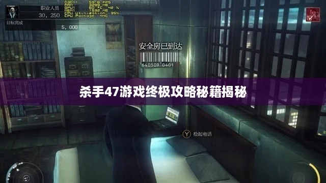 杀手47游戏终极攻略秘籍揭秘