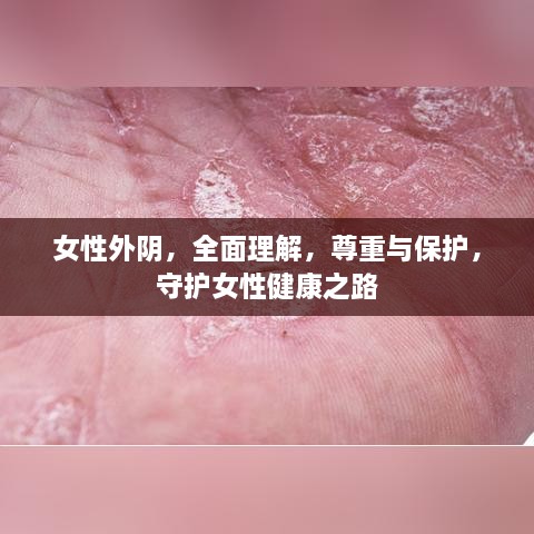 女性外阴，全面理解，尊重与保护，守护女性健康之路