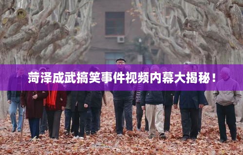 菏泽成武搞笑事件视频内幕大揭秘！