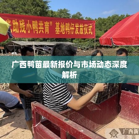 广西鸭苗最新报价与市场动态深度解析