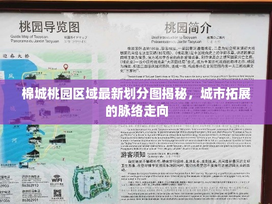 棉城桃园区域最新划分图揭秘，城市拓展的脉络走向