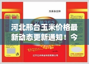 河北邢台玉米价格最新动态更新通知！今日行情一网打尽