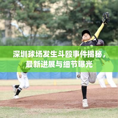 深圳球场发生斗殴事件揭秘，最新进展与细节曝光
