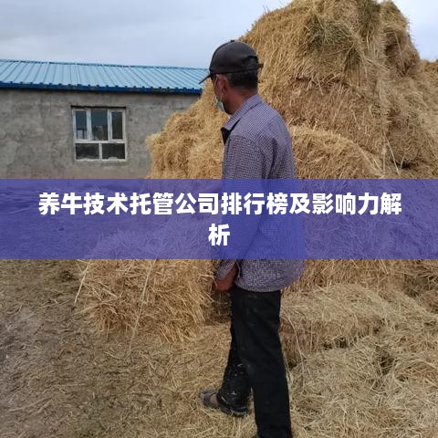 养牛技术托管公司排行榜及影响力解析