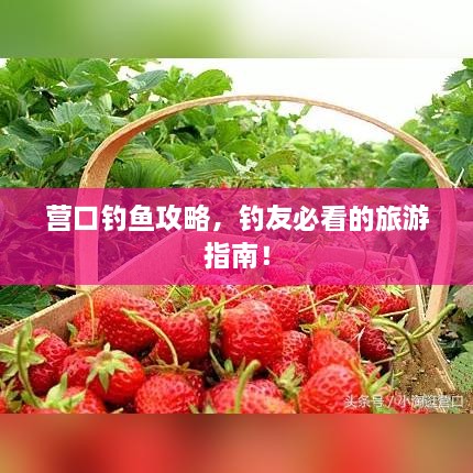 营口钓鱼攻略，钓友必看的旅游指南！