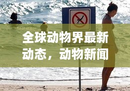 全球动物界最新动态，动物新闻头条速递