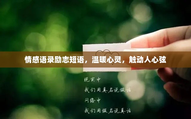 情感语录励志短语，温暖心灵，触动人心弦