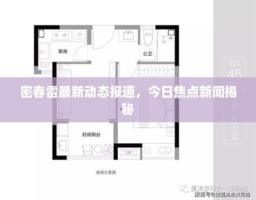 密春雷最新动态报道，今日焦点新闻揭秘
