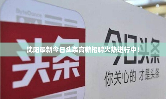 沈阳最新今日头条高薪招聘火热进行中！