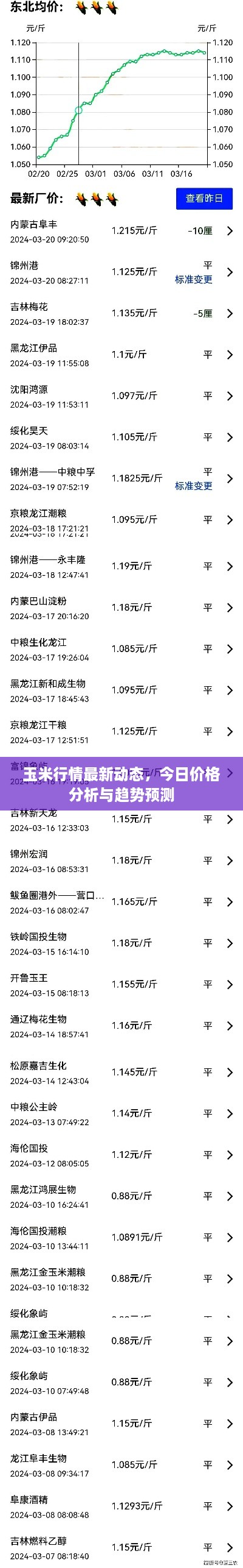 玉米行情最新动态，今日价格分析与趋势预测