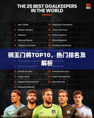狮王门将TOP10，热门排名及解析