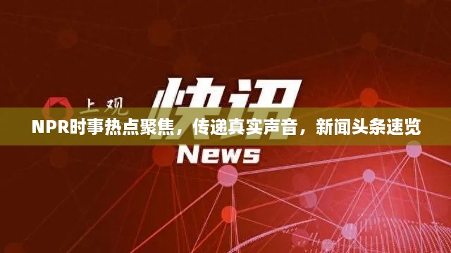 NPR时事热点聚焦，传递真实声音，新闻头条速览