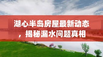 湖心半岛房屋最新动态，揭秘漏水问题真相