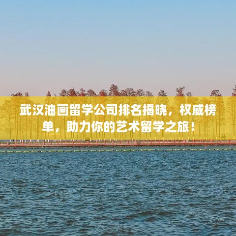 武汉油画留学公司排名揭晓，权威榜单，助力你的艺术留学之旅！