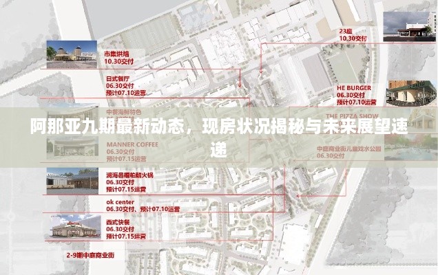 阿那亚九期最新动态，现房状况揭秘与未来展望速递