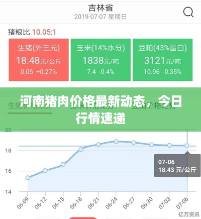 河南猪肉价格最新动态，今日行情速递