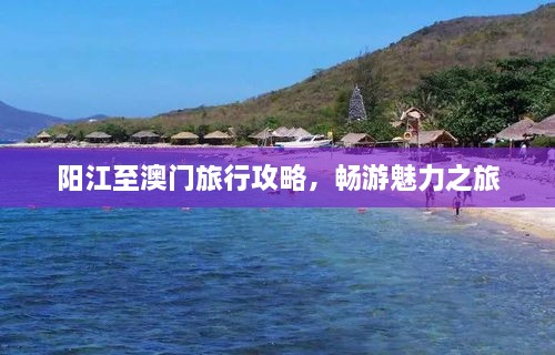 阳江至澳门旅行攻略，畅游魅力之旅