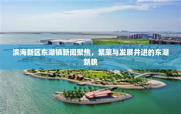 滨海新区东湖镇新闻聚焦，繁荣与发展并进的东湖新貌