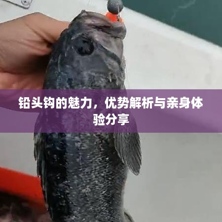 铅头钩的魅力，优势解析与亲身体验分享