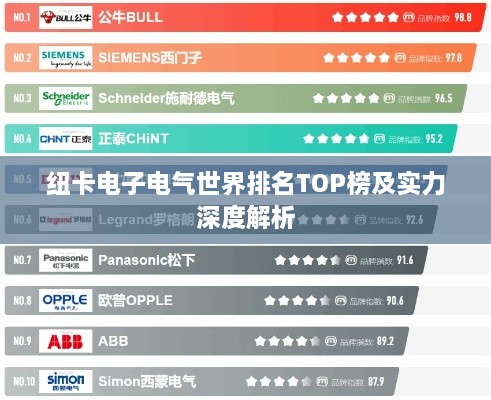 纽卡电子电气世界排名TOP榜及实力深度解析