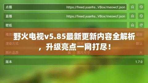 野火电视v5.85最新更新内容全解析，升级亮点一网打尽！