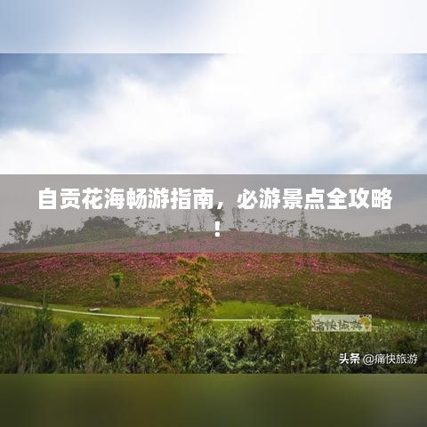自贡花海畅游指南，必游景点全攻略！