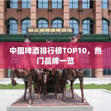中国啤酒排行榜TOP10，热门品牌一览