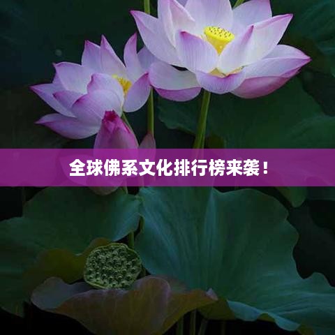 全球佛系文化排行榜来袭！