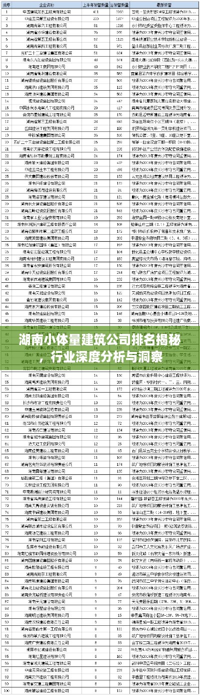 湖南小体量建筑公司排名揭秘，行业深度分析与洞察