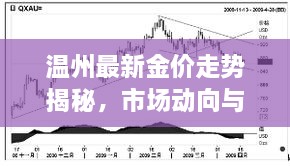 温州最新金价走势揭秘，市场动向与影响因素深度解析
