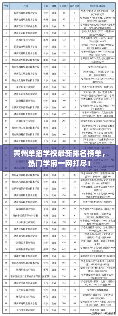 黄州单招学校最新排名榜单，热门学府一网打尽！