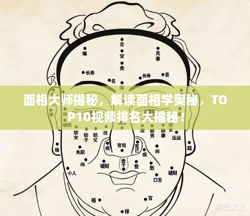 面相大师揭秘，解读面相学奥秘，TOP10视频排名大揭秘！