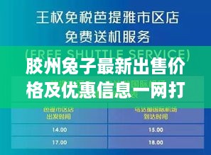 胶州兔子最新出售价格及优惠信息一网打尽