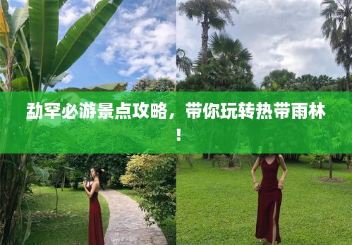 勐罕必游景点攻略，带你玩转热带雨林！