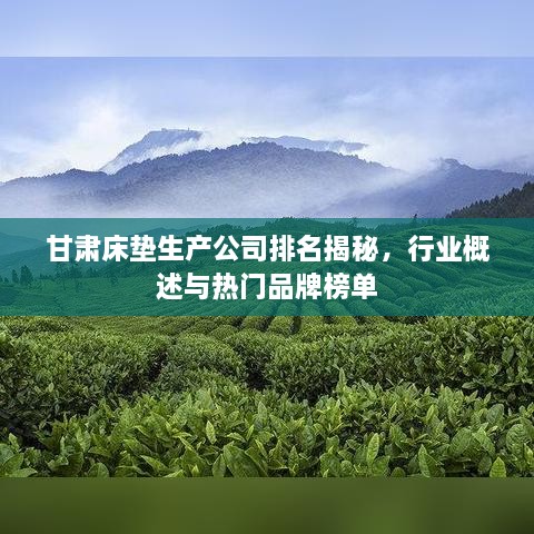 甘肃床垫生产公司排名揭秘，行业概述与热门品牌榜单