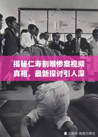 揭秘仁寿割喉惨案视频真相，最新探讨引人深思