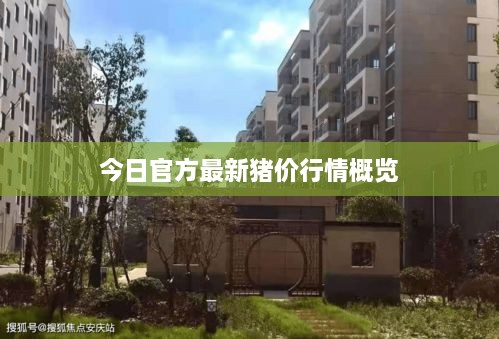 今日官方最新猪价行情概览