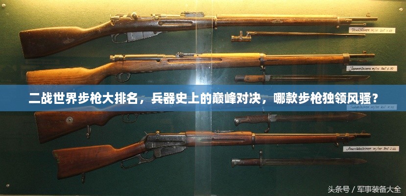 二战世界步枪大排名，兵器史上的巅峰对决，哪款步枪独领风骚？