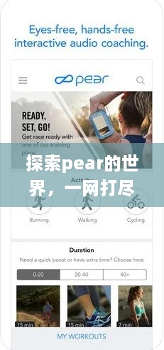 探索pear的世界，一网打尽所有信息！