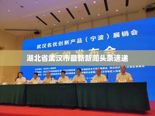 湖北省武汉市最新新闻头条速递